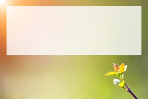 Natural spring close up background with selective focus Stock Photos