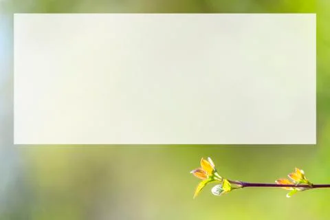 Natural spring close up background with selective focus Stock Photos