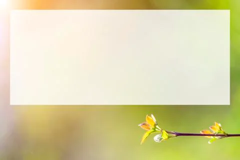 Natural spring close up background with selective focus Foto stock