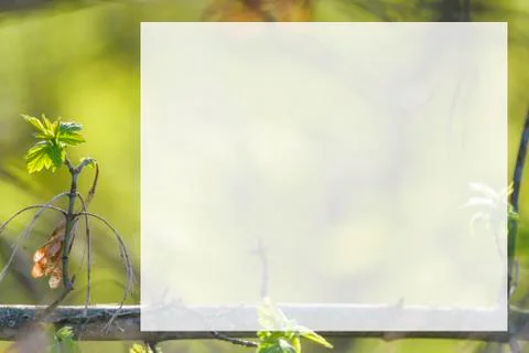 Natural spring close up background with selective focus Foto stock