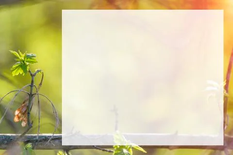 Natural spring close up background with selective focus Stock Photos