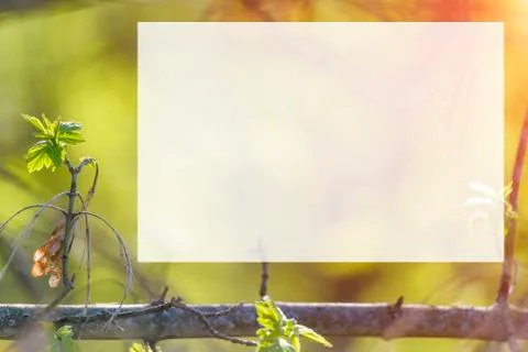 Natural spring close up background with selective focus Stock Photos