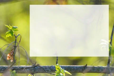 Natural spring close up background with selective focus Foto stock