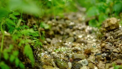 Natural spring, close up, slow motion, ecology nature and travel Stock Footage 283618088