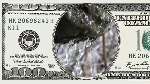 Natural spring drops fall in 100 dollar bill Stock Footage 97199137