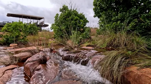 Natural Spring Flowing Over Rocks, Safari Vehicle Behind in African Wilderness Stock Footage 333636187