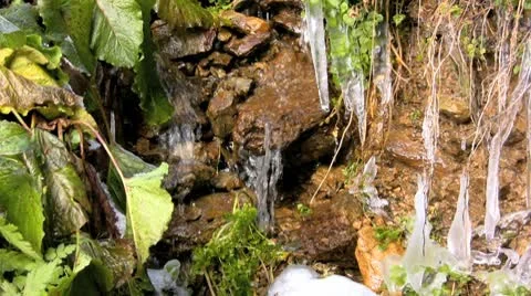 Natural spring Stock Footage 8956897