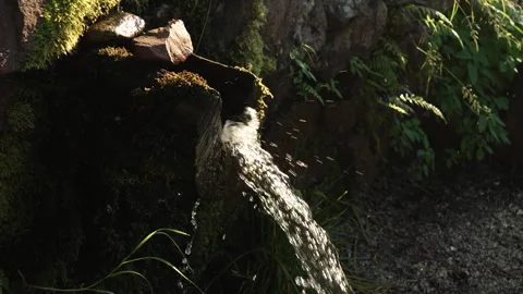Natural spring with fresh water flow in the mountain in nature 스톡 동영상 247025796