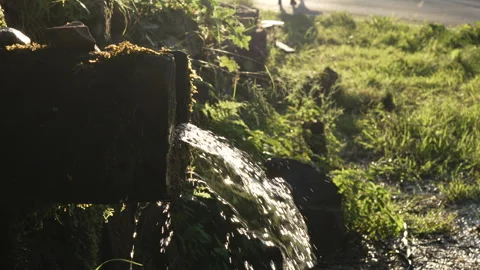 Natural spring with fresh water flow in the mountain in nature Stock Footage 247025821