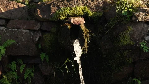 Natural spring with fresh water flow in the mountain in nature 動画素材 247025891