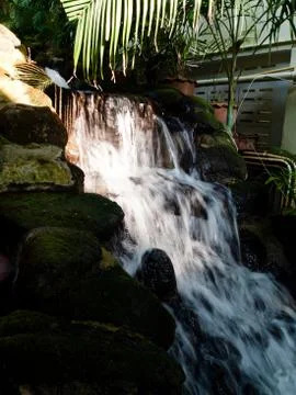 Natural spring Stock Photos