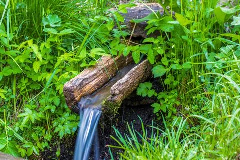 Natural spring, source of clean water. quality photo Stock Photos
