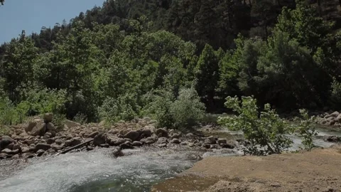 A natural spring stream Stock Footage 272162880