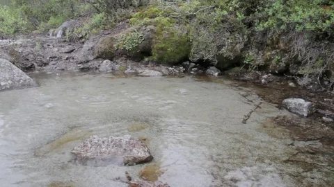 Natural spring from under the earth Stock Footage 79549924