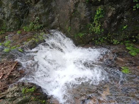 Natural spring water flowing Stock Photos
