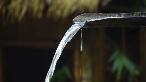 Natural spring water flowing through a rustic bamboo channel in a lush forest Stock Footage 341999903