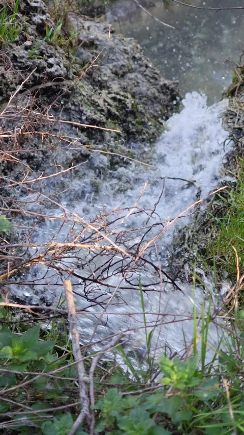 Natural Spring Water Source Flowing Into Small Stream, 4K Stock Footage 339764946