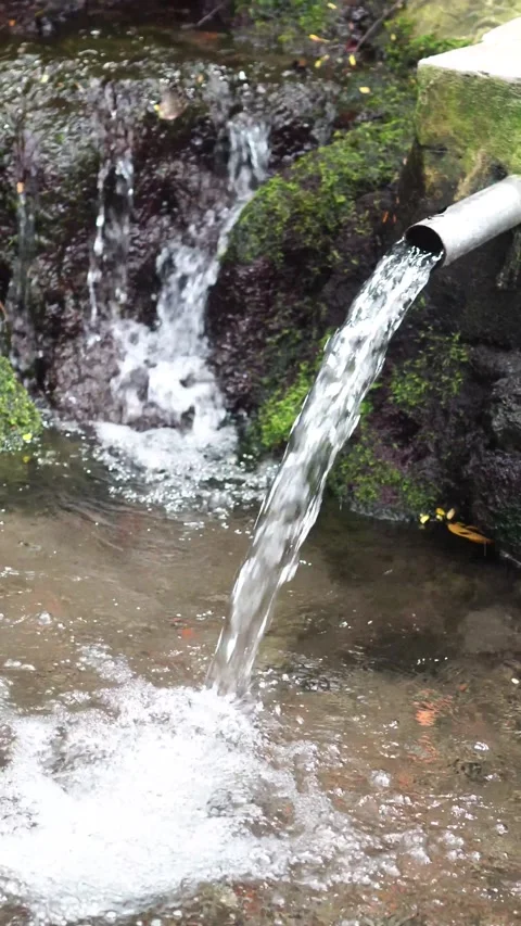 Natural Spring Water Source Stock Footage 275146188