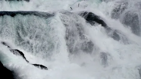Natural Spring Waterfall Scenery Background Stock-Footage 97450052