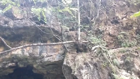 Natural Stone Cliff Vídeos de archivo 332474035