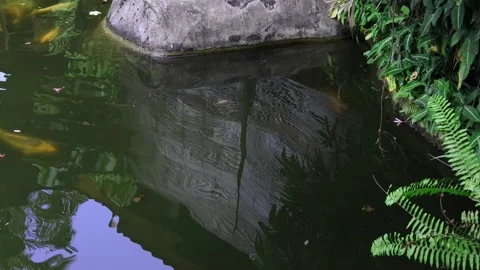 Natural stone on the edge of the pool Stock Footage 217416878