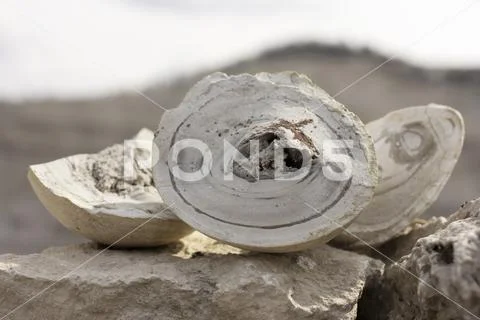 Natural stone in natural conditions. mining and mineral ore Stock Photos