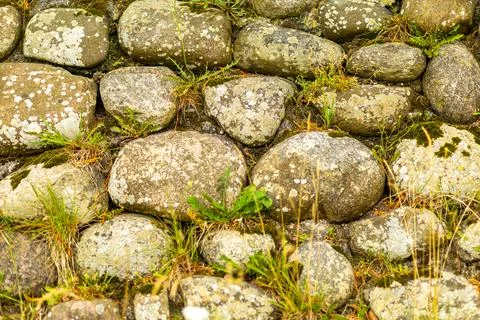 Natural stone path covered with grass and moss in a serene outdoor environm.. Stock Photos