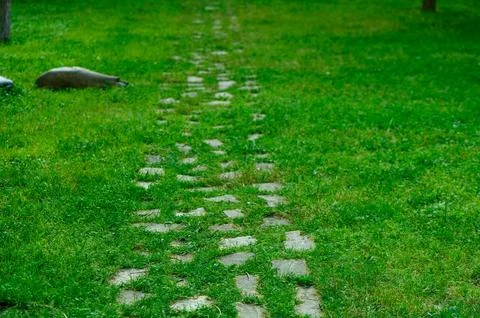 Natural stone path set into thick green grass with weeds and moss rustic ga.. Stock Photos