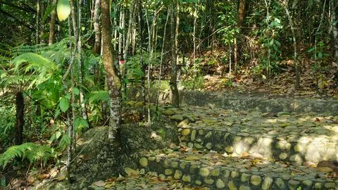 Natural Stone Pathway Lined with Shady Trees in City Park Stock Photos