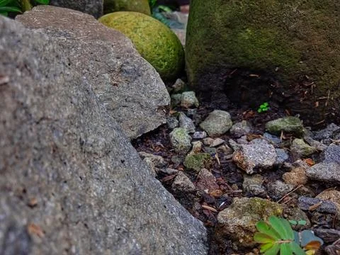 Natural stone Stock Photos