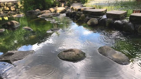 Natural Stone Pond. Small Waterfall Flowing Pond Stock-Footage 107457828