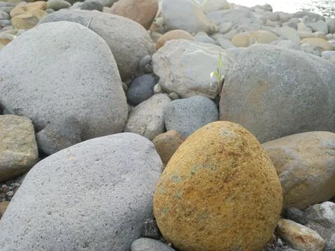 Natural stone from river Stock Photos