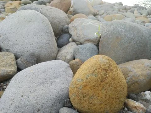 Natural stone from river Stock Photos
