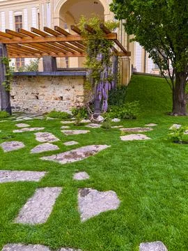 Natural stone stepping-stone path laid directly onto green lawn with Wisteria Stock Photos