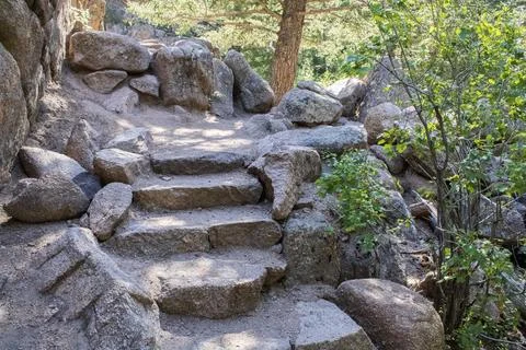 Natural stone steps in forest Foto stock