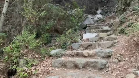 Natural stone steps in lush Cyprus gorge trail Stock Footage 328098359