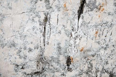 Natural stone surface, abstract light textured background Stock Photos