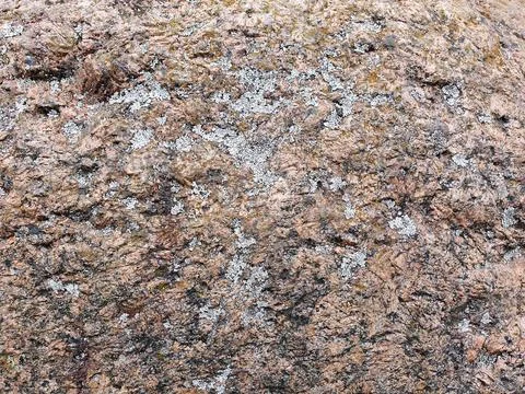 Natural stone texture background. Moss lichens on big dark brown rock. Stock Photos
