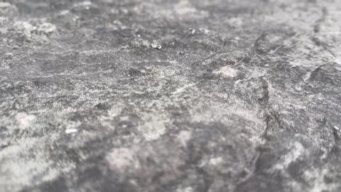 Natural stone texture Stock Footage 311304262