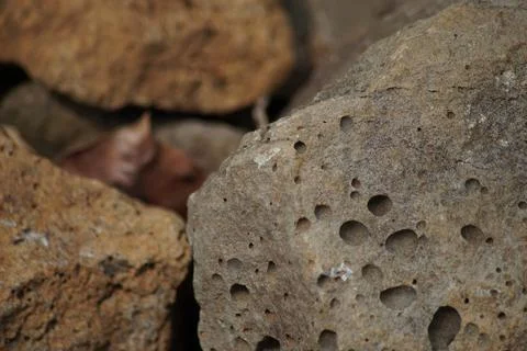 Natural stone texture. Foto stock