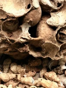 Natural Stone Texture Stock Photos