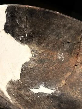 Natural Stone Texture Stock Photos