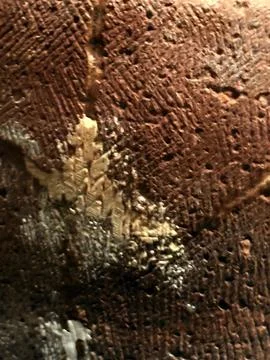 Natural Stone Texture Stock Photos