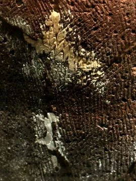 Natural Stone Texture Stock Photos