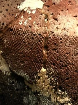 Natural Stone Texture Stock Photos