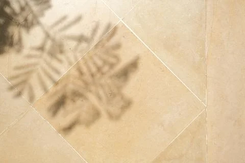 Natural Stone Tile Background with Leaf Shadow Stock Photos