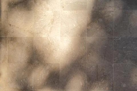 Natural Stone Tile Background with Leaf Shadow Stock Photos