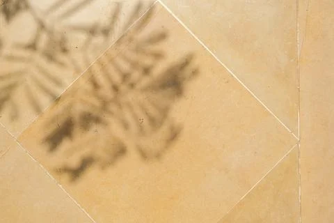 Natural Stone Tile Background with Leaf Shadow Stock Photos
