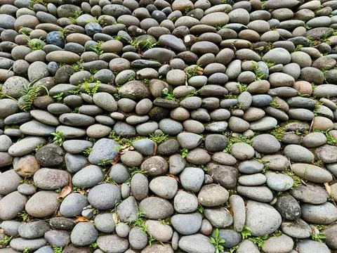 Natural Stone Wall Texture Rounded River Rocks Pattern Background Rustic Pebble Fotos de archivo