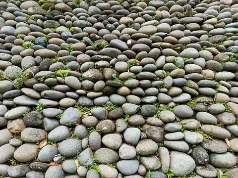 Natural Stone Wall Texture with Rounded River Rocks and Green Moss Pattern Stock Photos